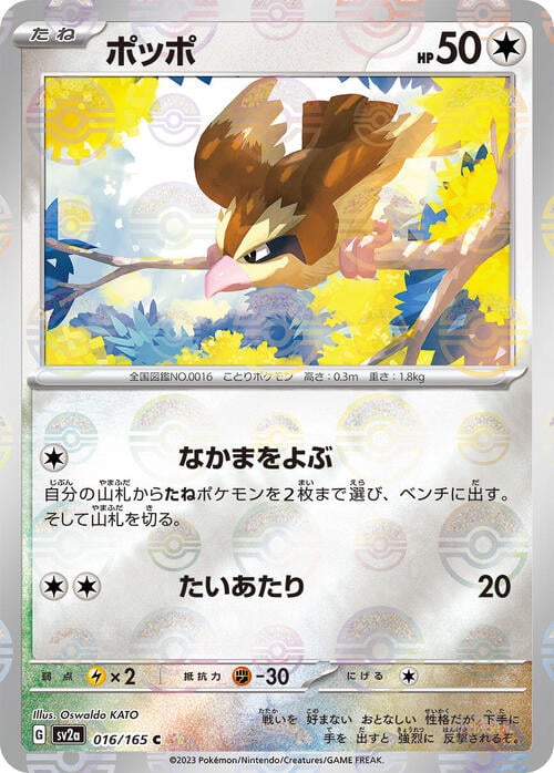 Pidgey Card Front