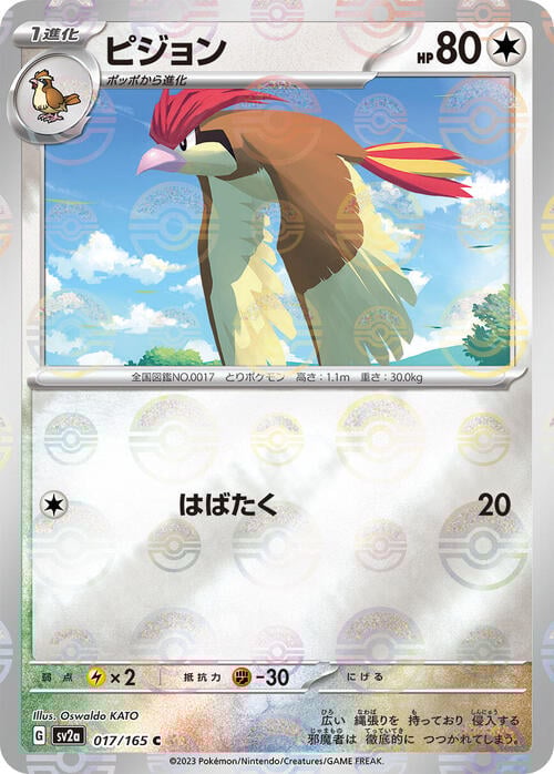 Pidgeotto Card Front