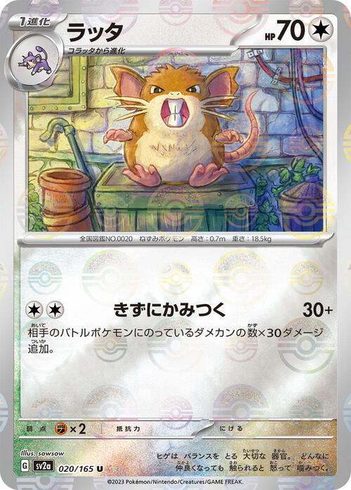 Raticate Card Front