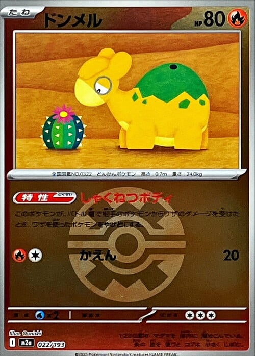 Numel Card Front