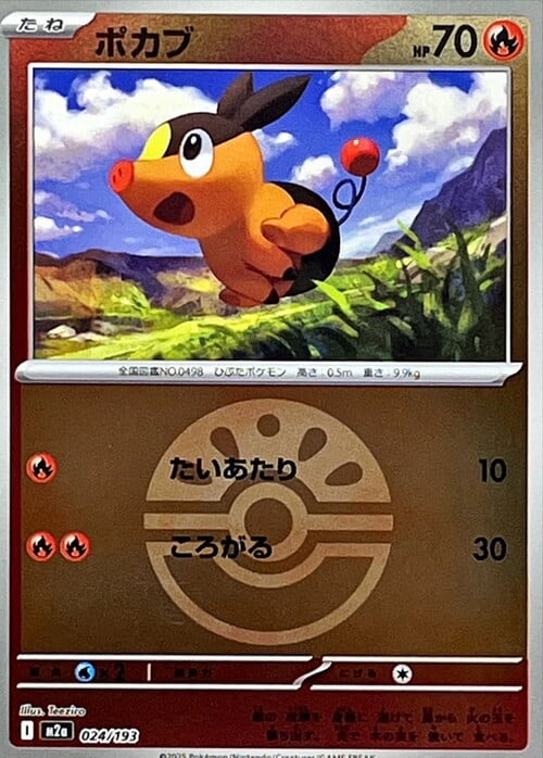 Tepig Card Front