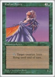Radjan Spirit 266