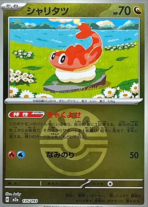 Tatsugiri Card Front