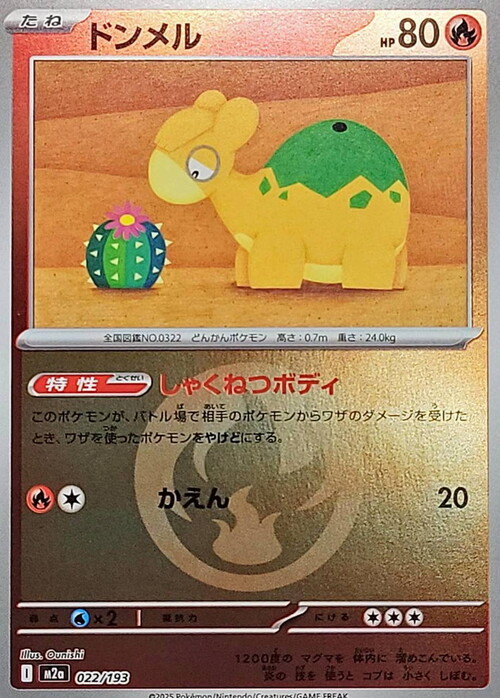 Numel Card Front