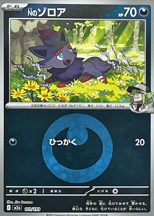 N's Zorua Card Front