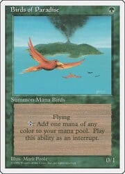 Birds of Paradise 234