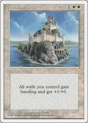 Fortified Area 026