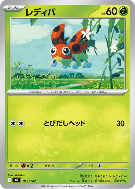 Ledyba Card Front