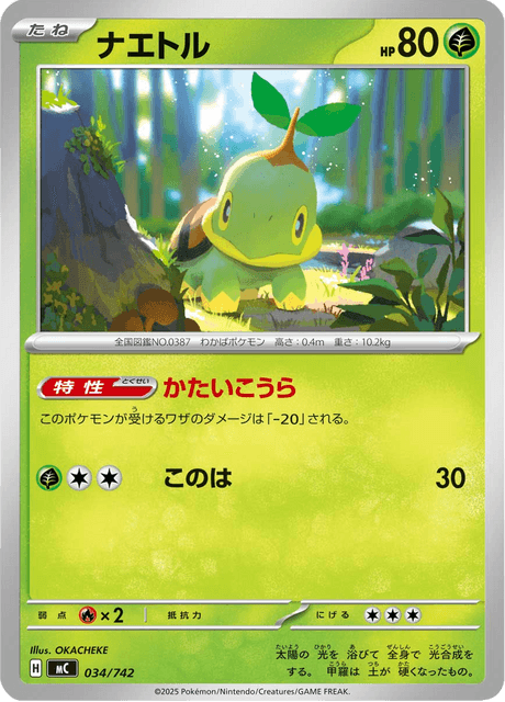 Turtwig Card Front