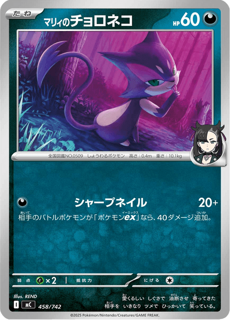 Purrloin de Roxy Frente