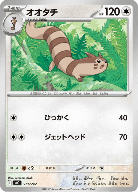 Furret Frente