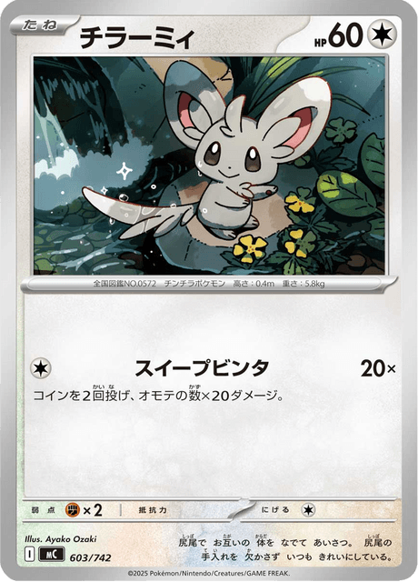 Minccino Card Front