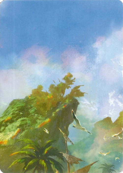 "Treasure Island" Macro Puzzle Card Card Front