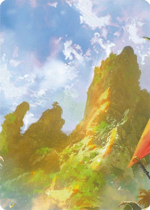 "Treasure Island" Macro Puzzle Card Card Front