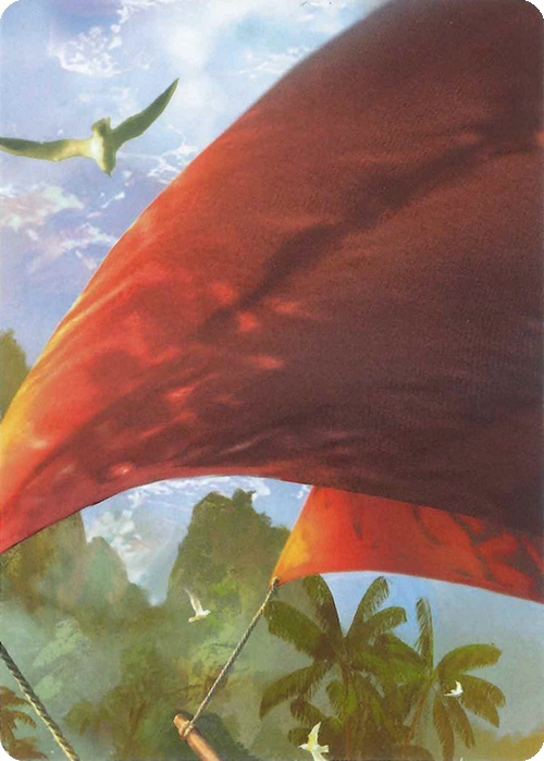 "Treasure Island" Macro Puzzle Card Card Front