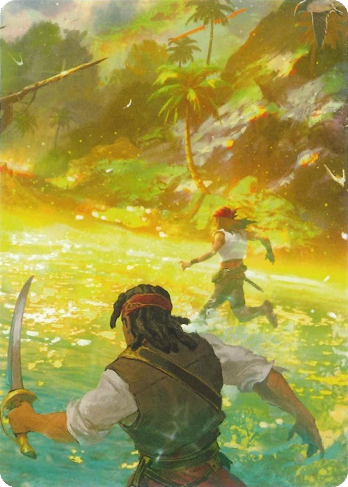 "Treasure Island" Macro Puzzle Card Card Front