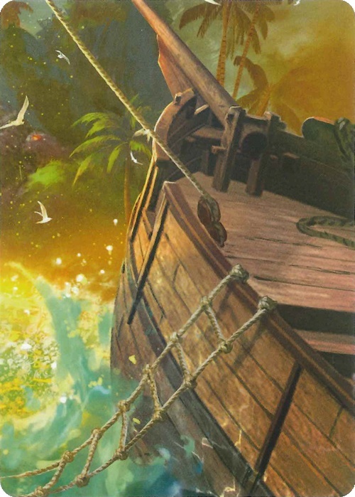 "Treasure Island" Macro Puzzle Card Card Front