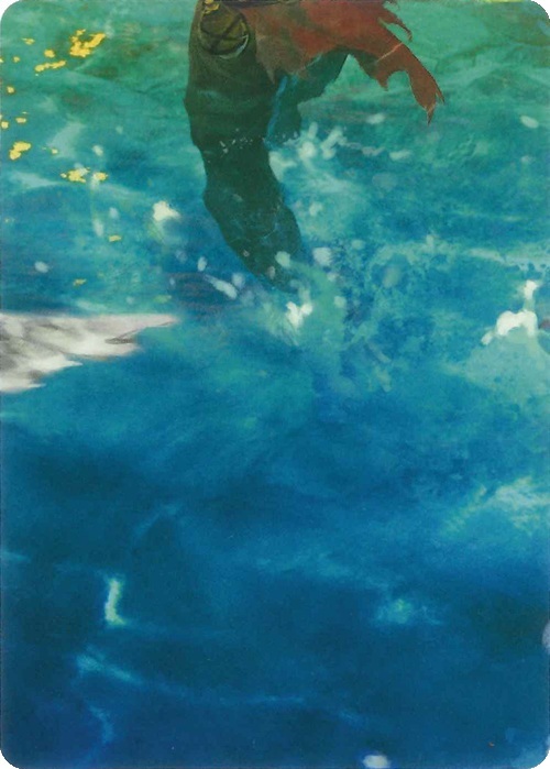 "Treasure Island" Macro Puzzle Card Card Front