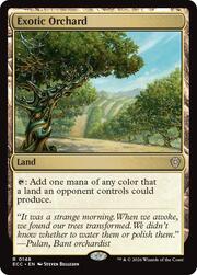 Exotic Orchard 148