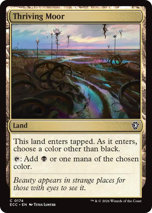 Landa Florida Card Front