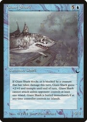 Giant Shark 029