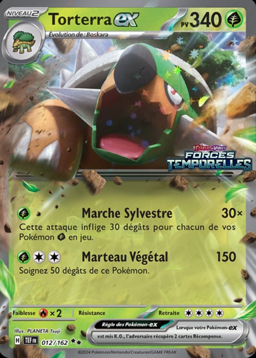 Torterra ex Card Front