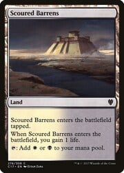 Scoured Barrens 276