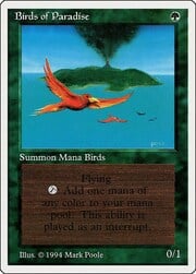 Birds of Paradise 187