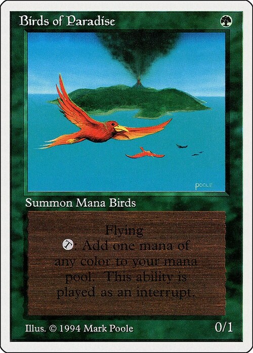Birds of Paradise Card Front