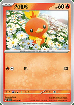 Torchic Frente