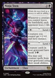 Ninja Teen