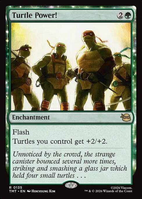 Turtle Power! Card Front