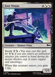 Foot Ninjas 147