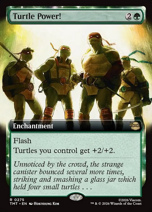 Turtle Power! Card Front