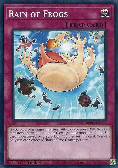 Rain of Frogs Frente