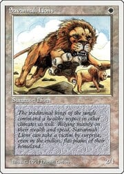 Savannah Lions 039