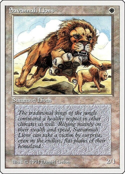 Leoni della Savana Card Front