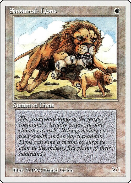 Savannah Lions Card Front