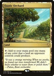 Exotic Orchard 249