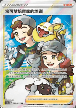 Cuidados de Criapokémon Frente