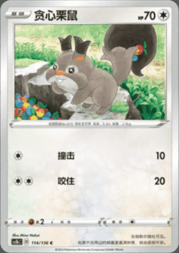 Skwovet Card Front