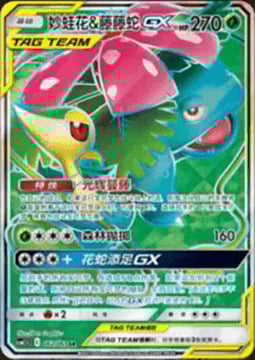 Venusaur e Snivy GX ALLEATI Card Front