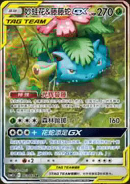 Venusaur e Snivy GX ALLEATI Card Front