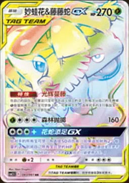 Venusaur e Snivy GX ALLEATI Card Front