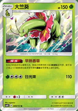 Meganium Card Front