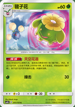 Skiploom Card Front