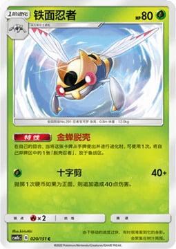 Ninjask Card Front