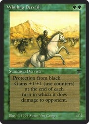 Whirling Dervish 211