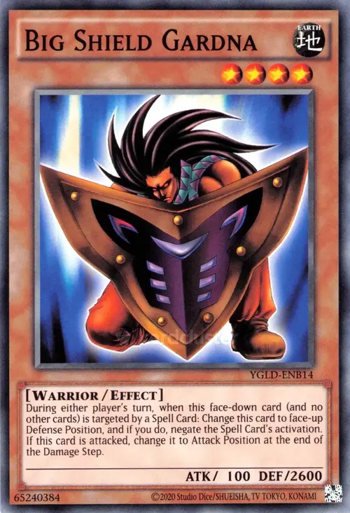 Gran Escudo Gardna Frente