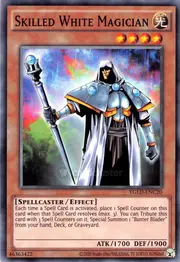Skilled White Magician · Common | ©2020 C20